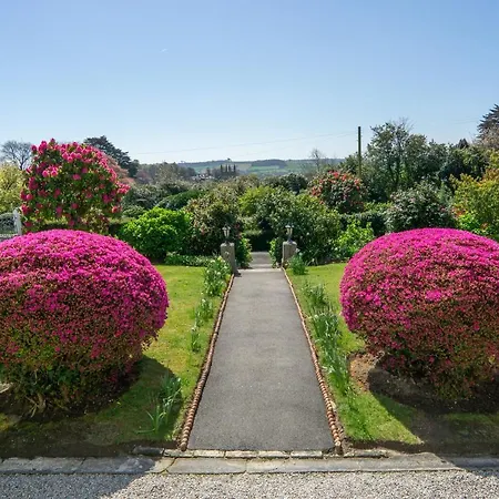 Bed & Breakfast Ivy House Cornwall
